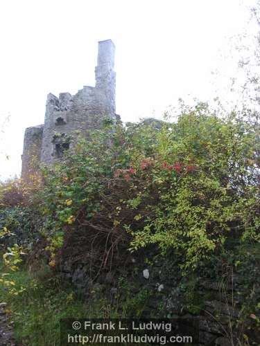 Ballinafad Castle